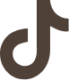 tiktok icon